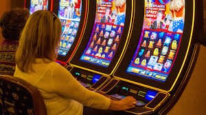 woe77 bingo online kamar bingo live seru dengan hadiah besar